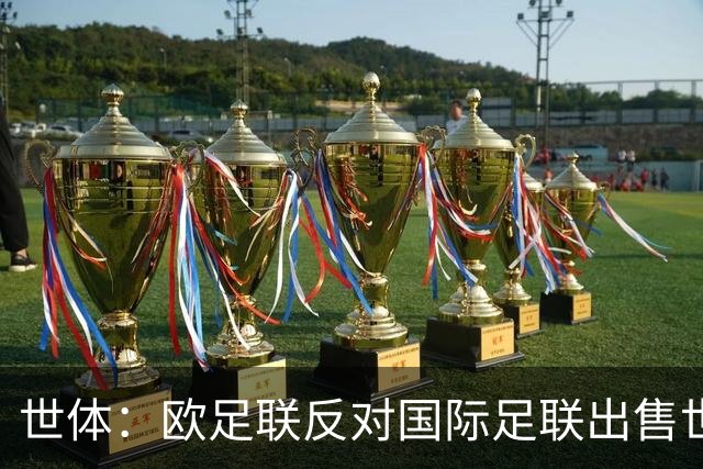 世体：欧足联反对国际足联出售世界杯股份，2030决赛地生变