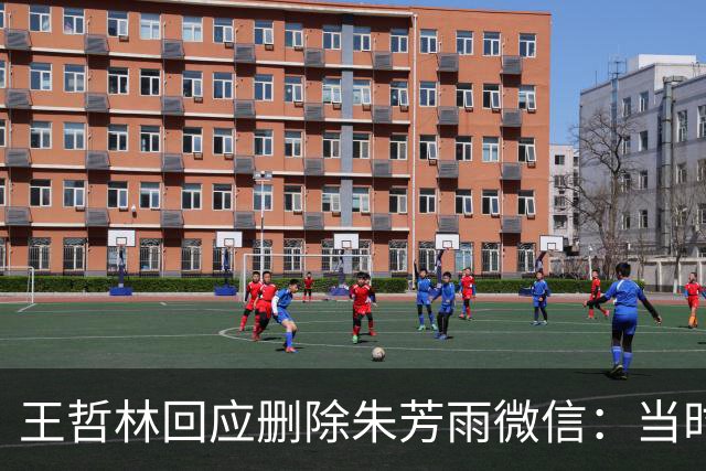 王哲林回应删除朱芳雨微信：当时被盗删了几百人 包括我妈也被删了